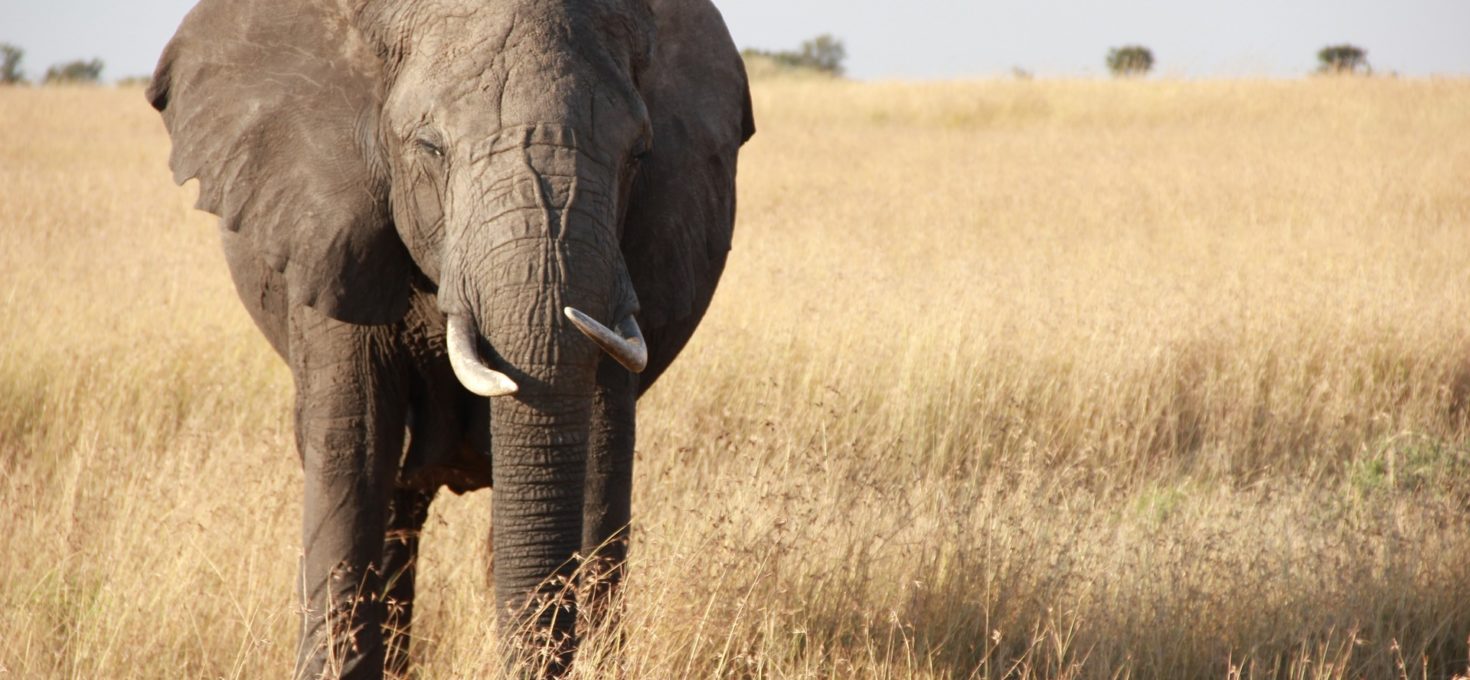 Een bijzondere Tanzania rondreis