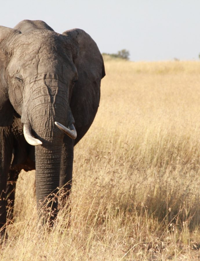 Een bijzondere Tanzania rondreis