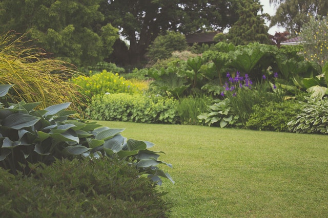 Tips voor het onderhouden van de tuin