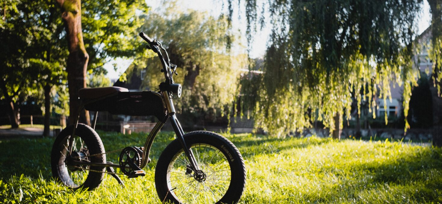 Een nieuw fenomeen: de E-chopper