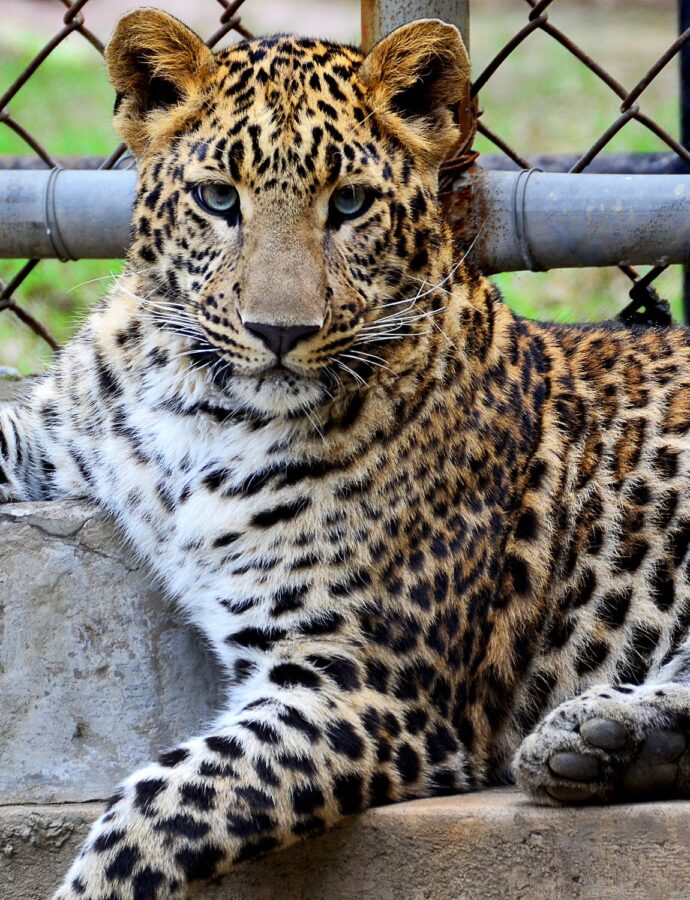 Een gezellige dag in de Burgers Zoo