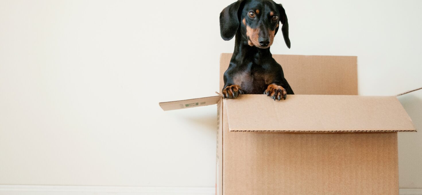 3 belangrijke dingen om te checken als je gaat verhuizen