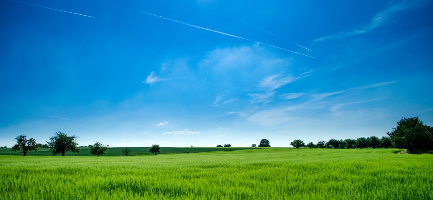 Wat zijn de verschillen tussen kunstgras en echt<br>gras?